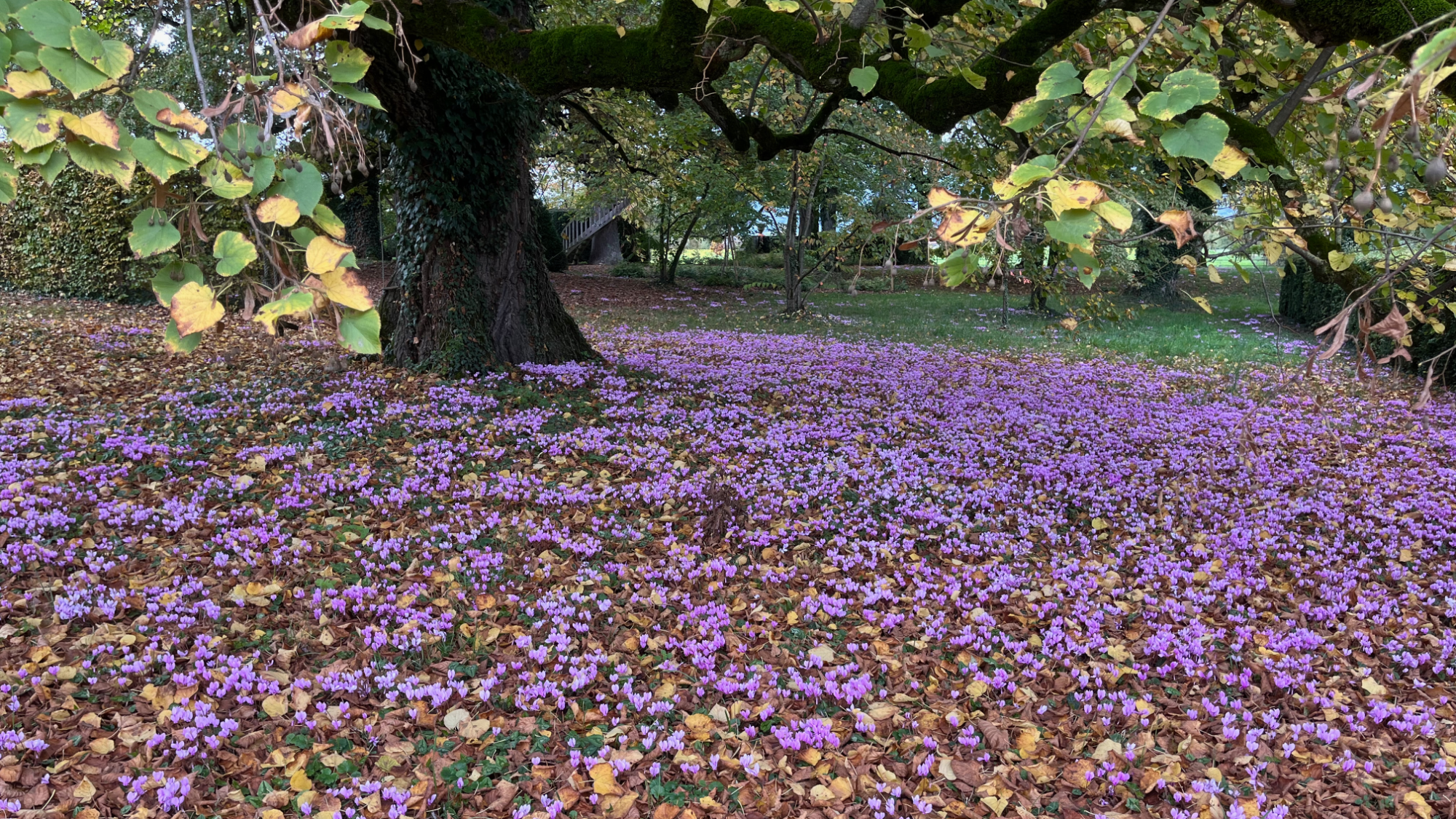 La rive gauche, du lac au Salève (Cologny, Choulex, Jussy, Hermance etc.)