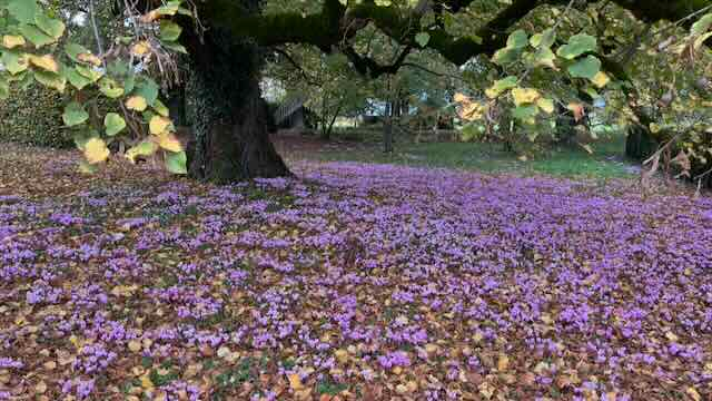 La rive gauche, du lac au Salève (Cologny, Choulex, Jussy, Hermance etc.)